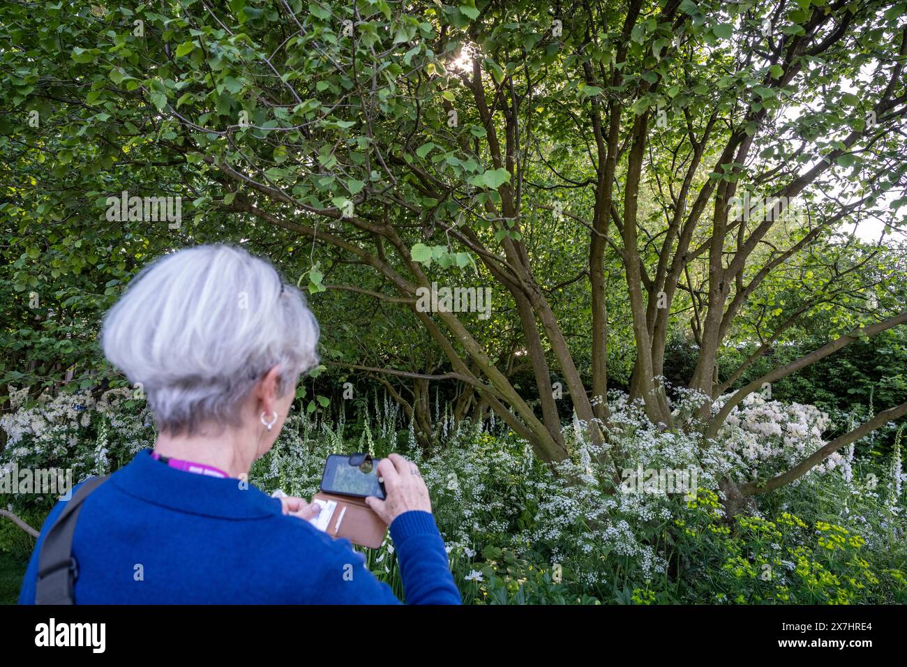 Stuart Medhurst Rhs London, UK. 20 May 2024. The National Garden Scheme Garden, designed by ...