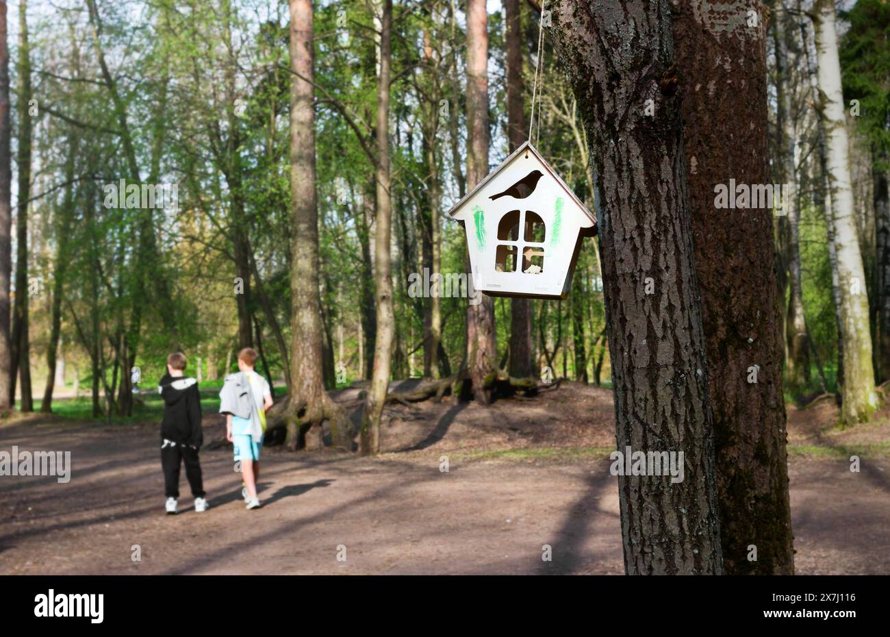 Small house with window on tree in the park. This is the feeder for squirrels and birds Stock Photo