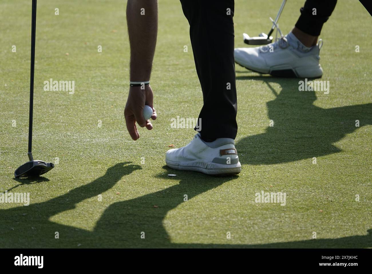 Heath live 2025 hires stock photography and images Alamy