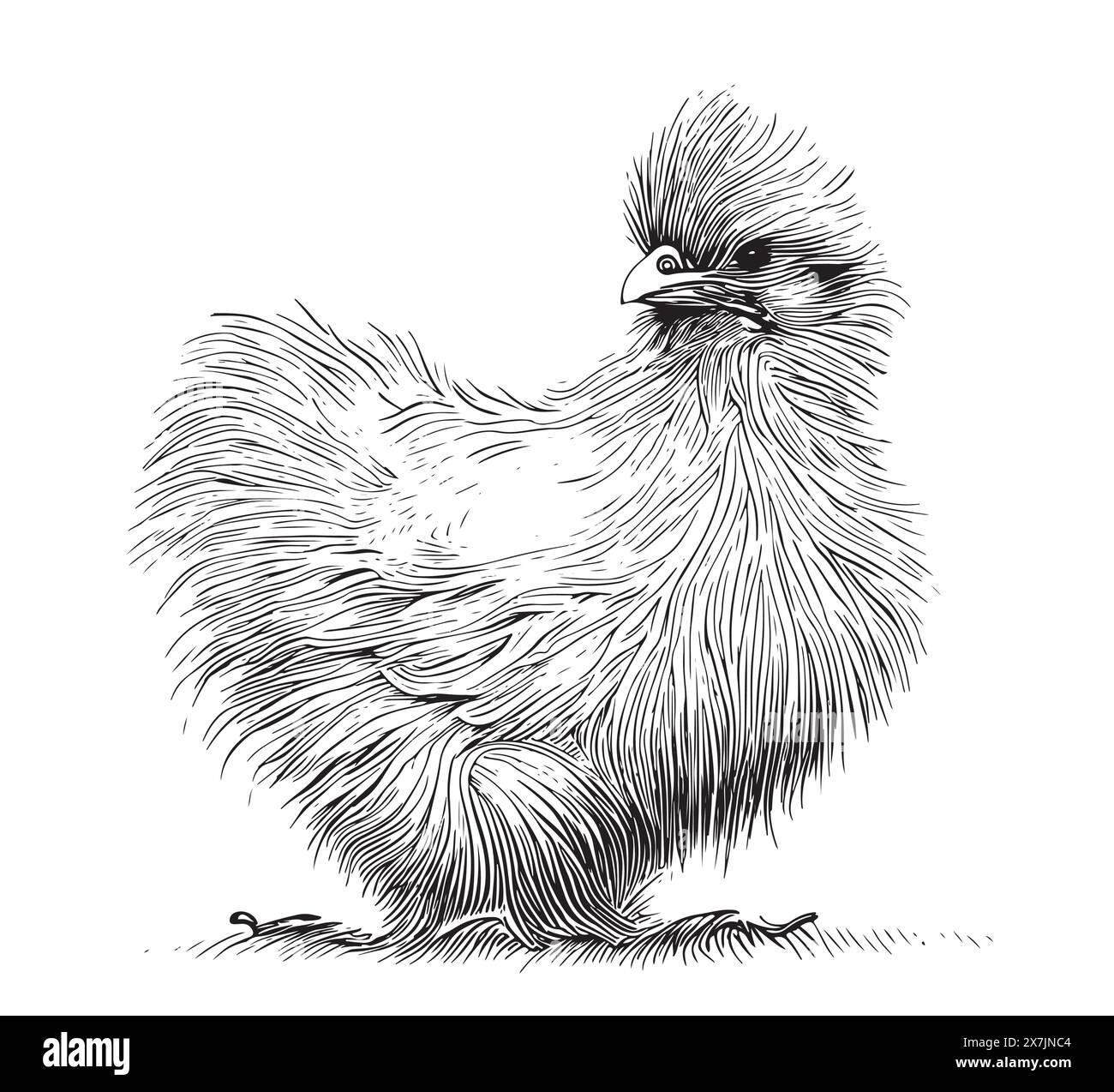 Sketch of cute little chicken. Vector sketch design elements. Hand drawn graphic illustration of little bird, chicken isolated on white background. In Stock Vector