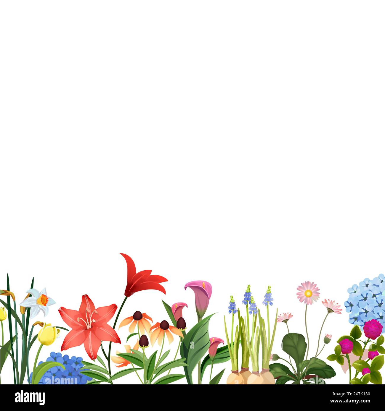 Flowers background with beautiful spring flowers footer for web or ...