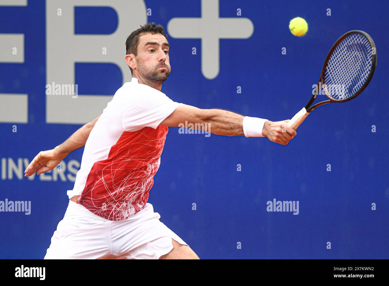 Marin Cilic (Croatia). Argentina Open 2024 Stock Photo - Alamy