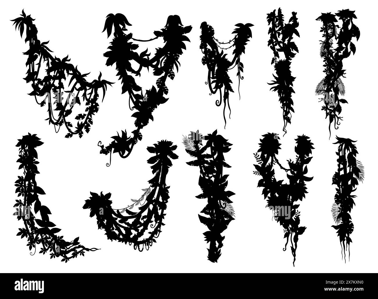 Vertical jungle tropical liana branch vine silhouettes, vector ivy ...