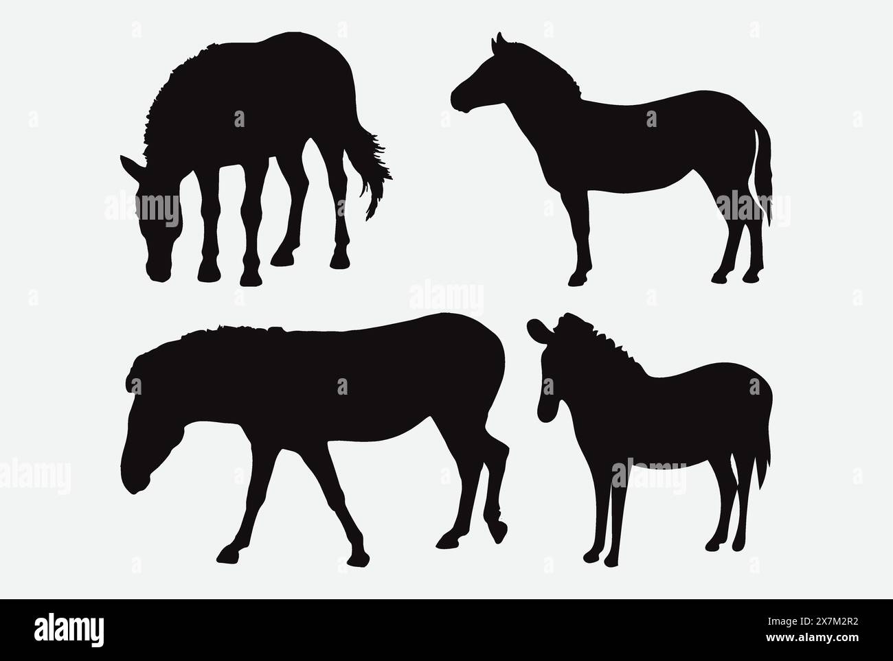 Zebra Silhouettes Vector Set African Wildlife Silhouette Illustrations ...
