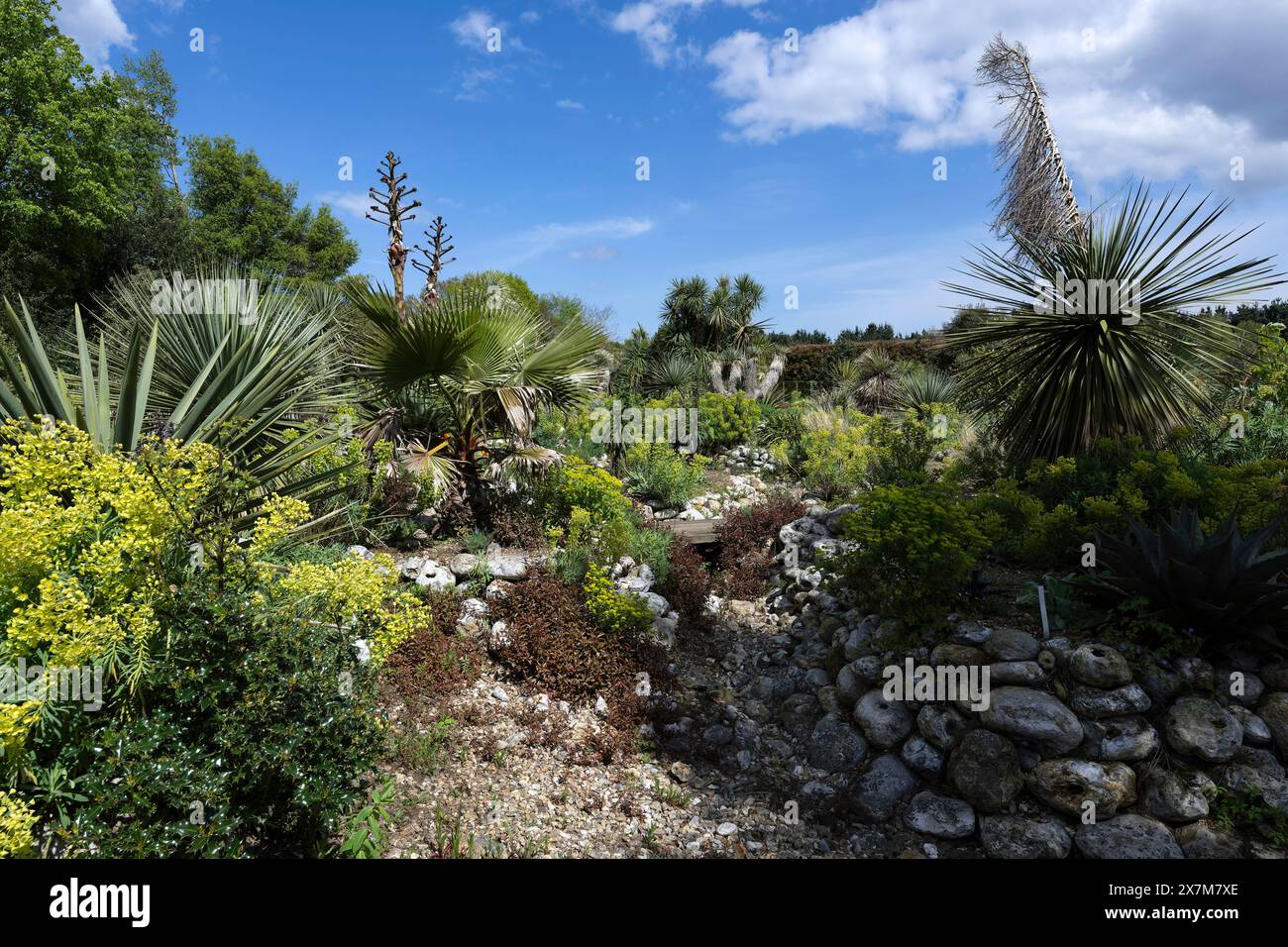 The Old Rectory Gardens at East Ruston Stock Photo