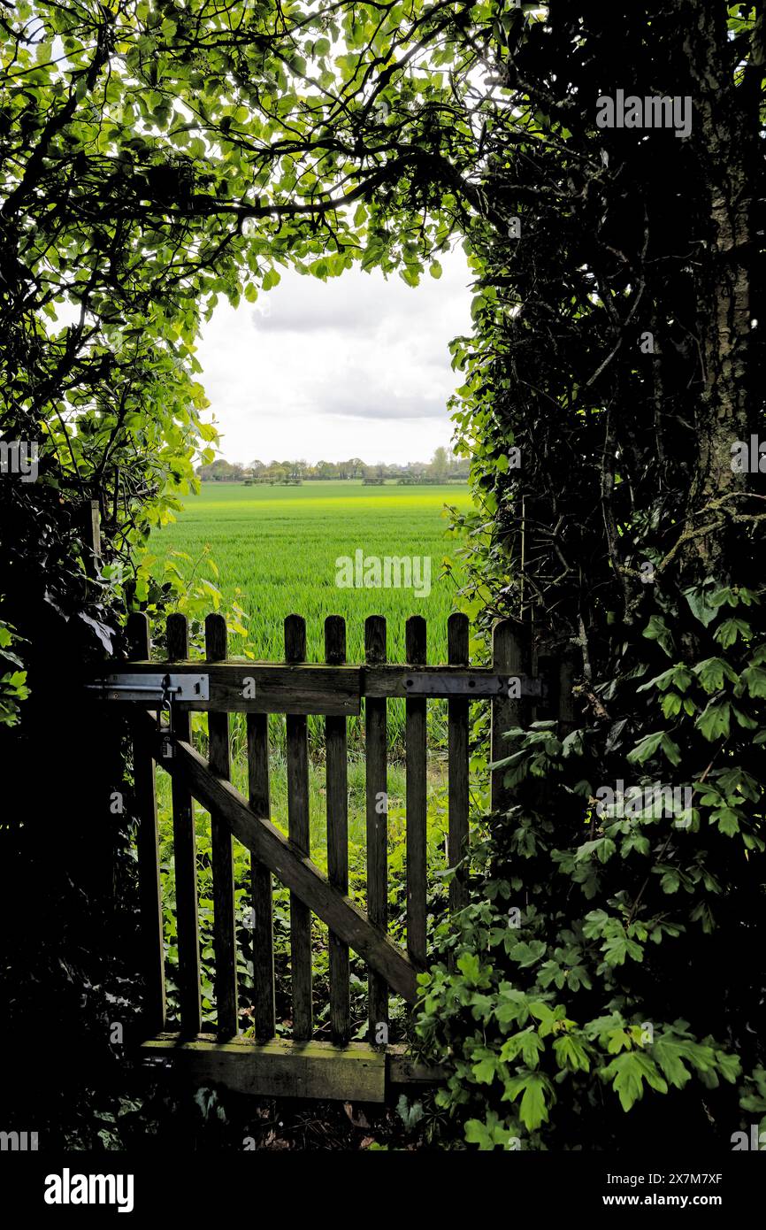 The Old Rectory Gardens at East Ruston Stock Photo