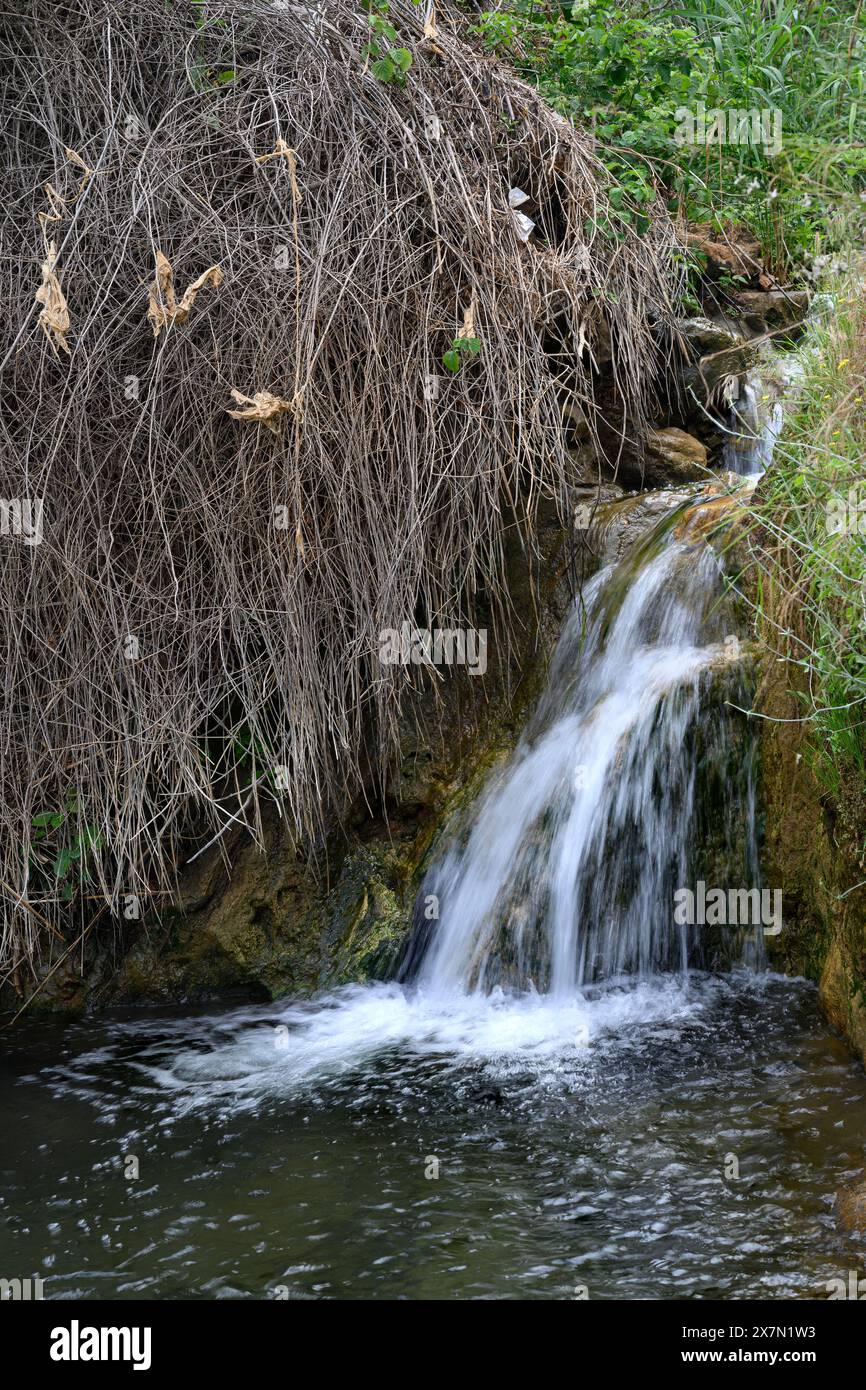 flowing water and waterfall in a small stream Photographed at Tzalmon stream nature reserve, Upper Galilee, Israel Stock Photo