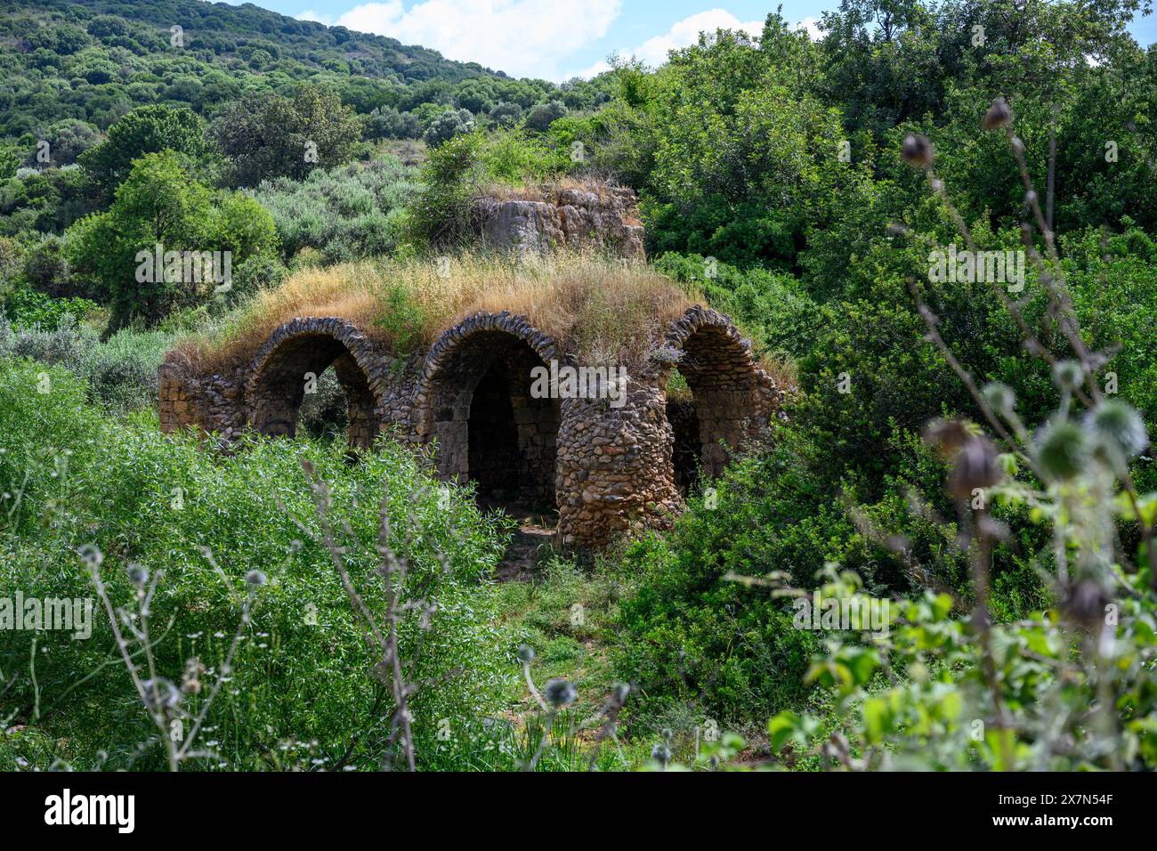 ruins of an ancient flour mill Photographed at Tzalmon stream nature reserve, Upper Galilee, Israel Stock Photo