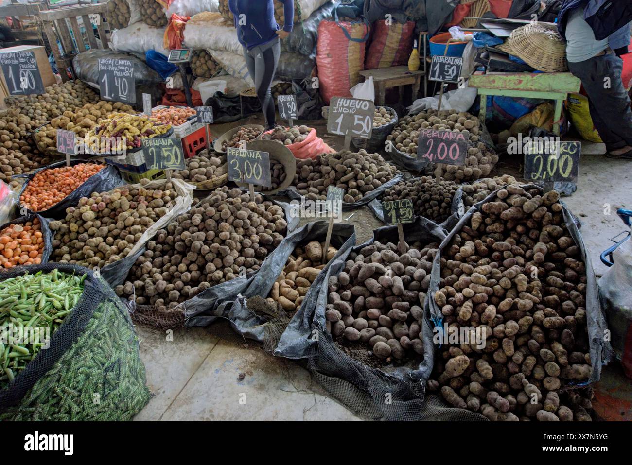 Chimbote, Peru - April 18, 2024: Various types of potato for sale in public market Mercado dos de Mayo (2nd May Market) Stock Photo