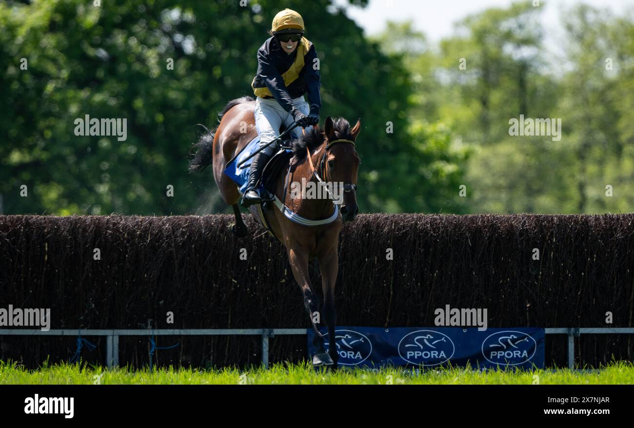 Tabley Races 2023 Imagery from the 2024 Knutsford Races, Tabley Hall, Cheshire, Sunday ...