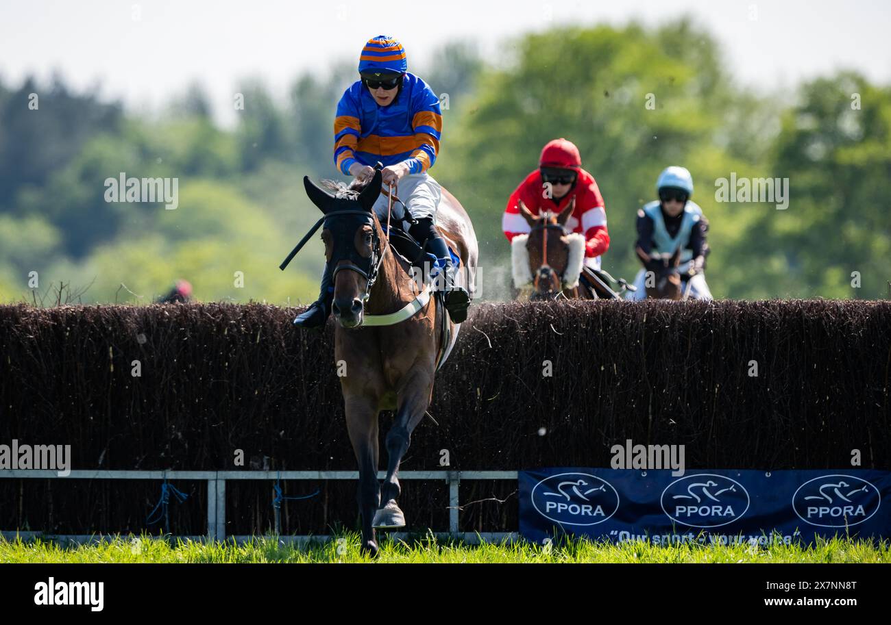 Tabley Races 2023 Imagery from the 2024 Knutsford Races, Tabley Hall, Cheshire, Sunday ...