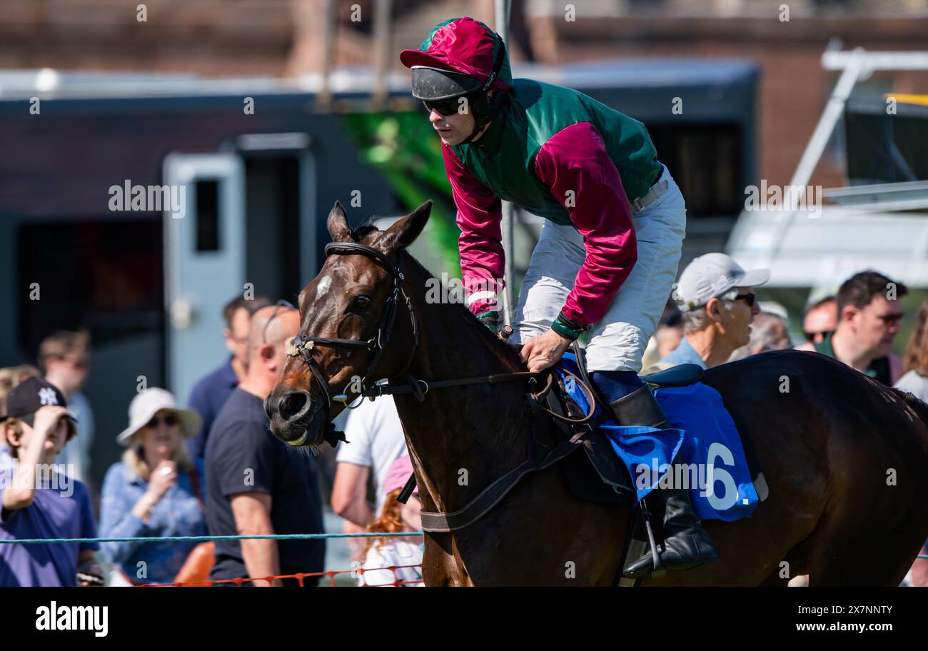 Tabley Races 2023 Imagery from the 2024 Knutsford Races, Tabley Hall, Cheshire, Sunday ...