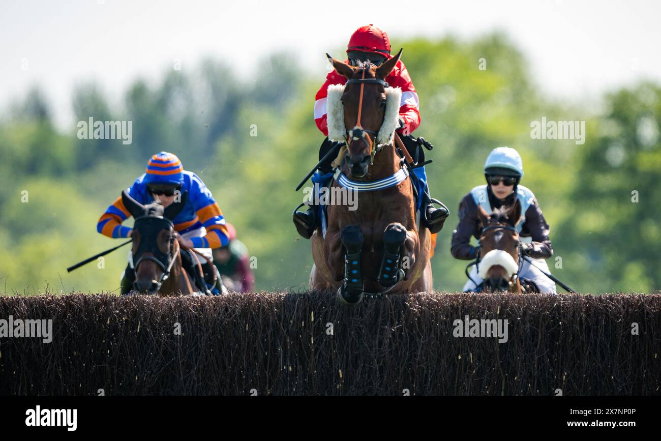 Tabley Races 2023 Tabley hall cheshire hi-res stock photography and images - Alamy