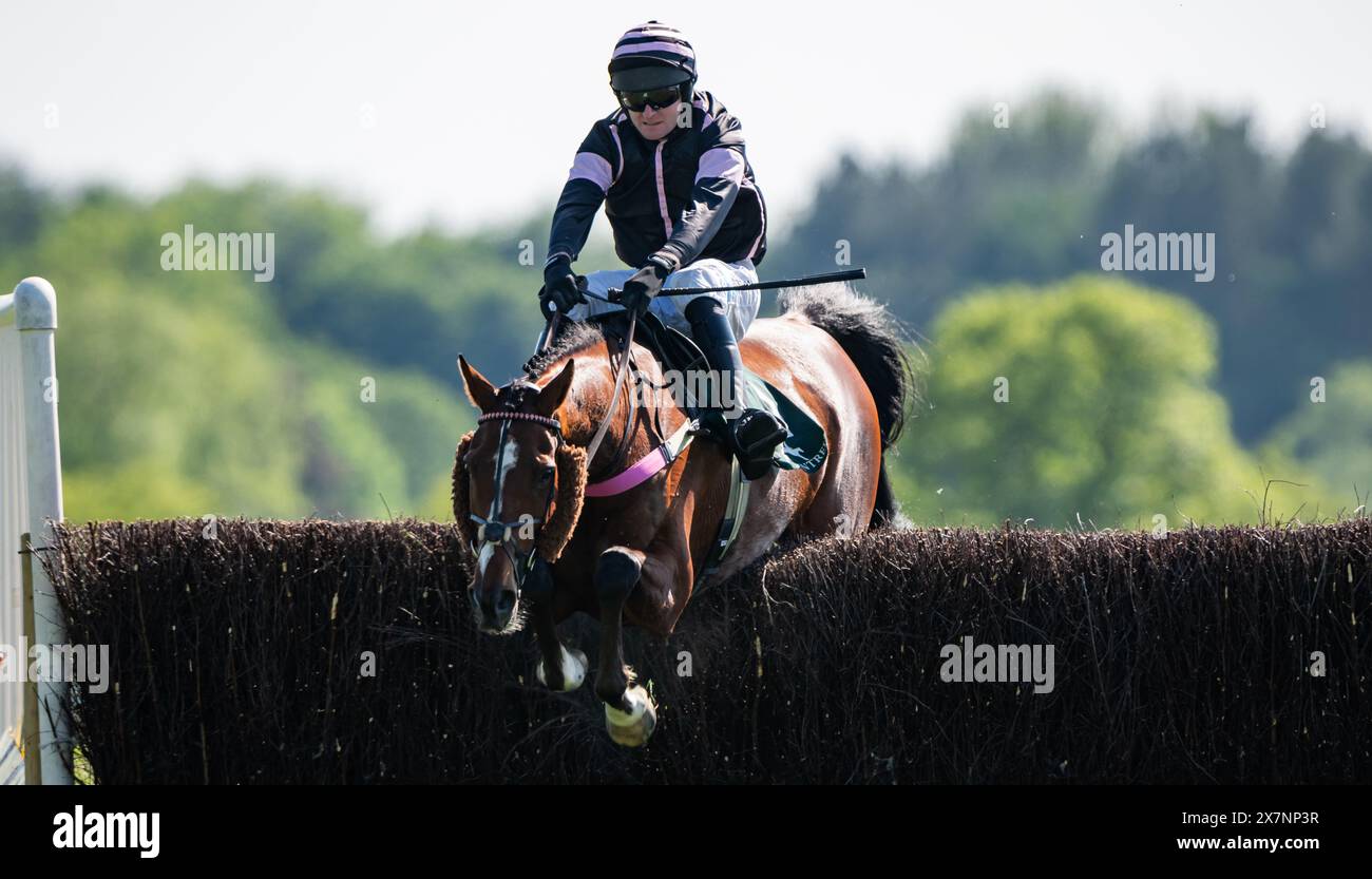 Tabley Races 2023 Imagery from the 2024 Knutsford Races, Tabley Hall, Cheshire, Sunday ...