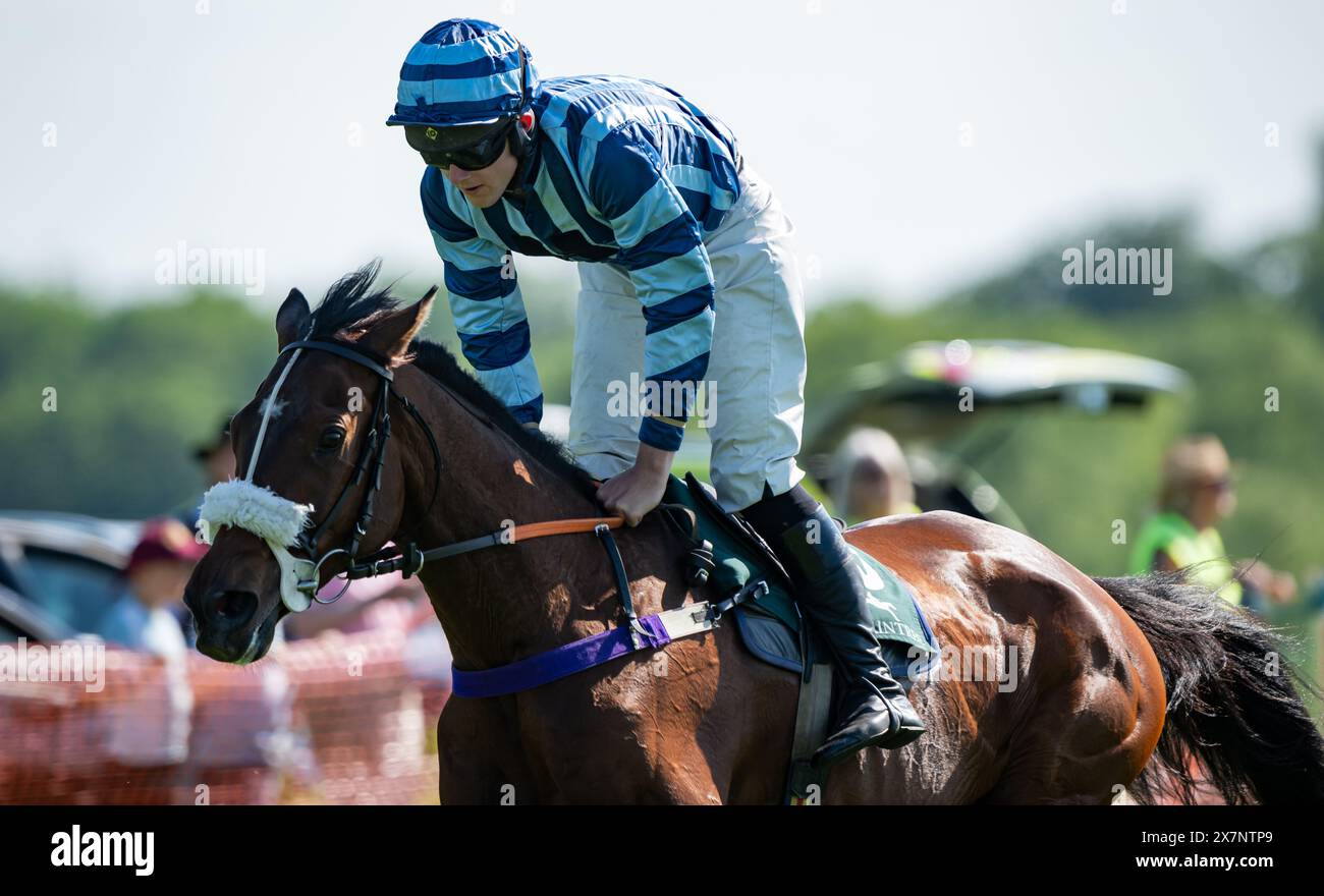Tabley Races 2023 Imagery from the 2024 Knutsford Races, Tabley Hall, Cheshire, Sunday ...