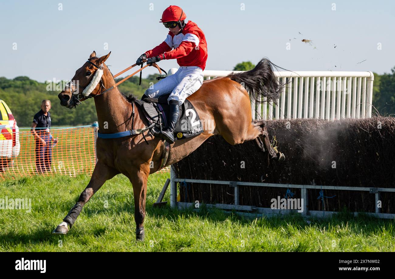 Tabley Races 2023 Imagery from the 2024 Knutsford Races, Tabley Hall, Cheshire, Sunday ...