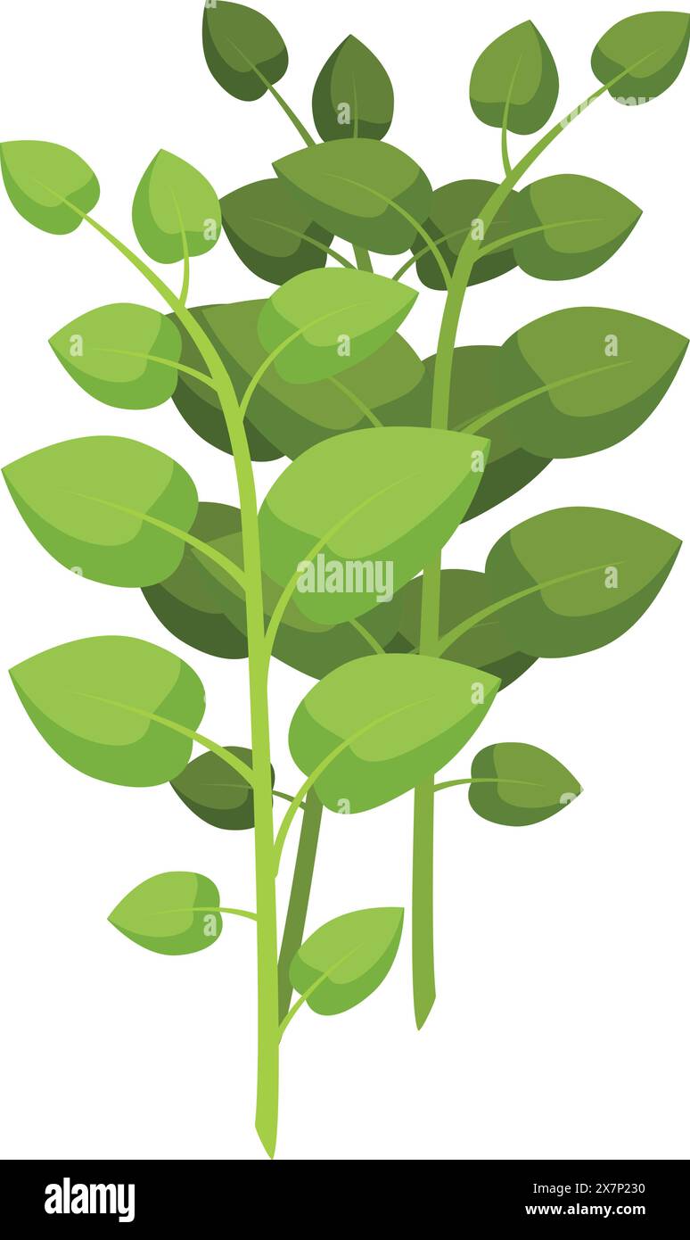 Fresh green leaves vector illustration Stock Vector Image & Art - Alamy