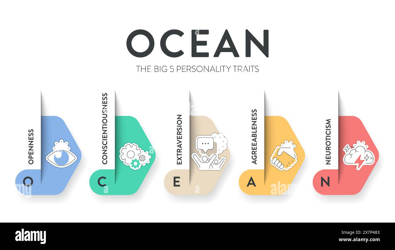OCEAN, Big Five Personality Traits infographic has 4 types of personality, Agreeableness, Openness to experience, Neuroticism, Conscientiousness and E Stock Vector
