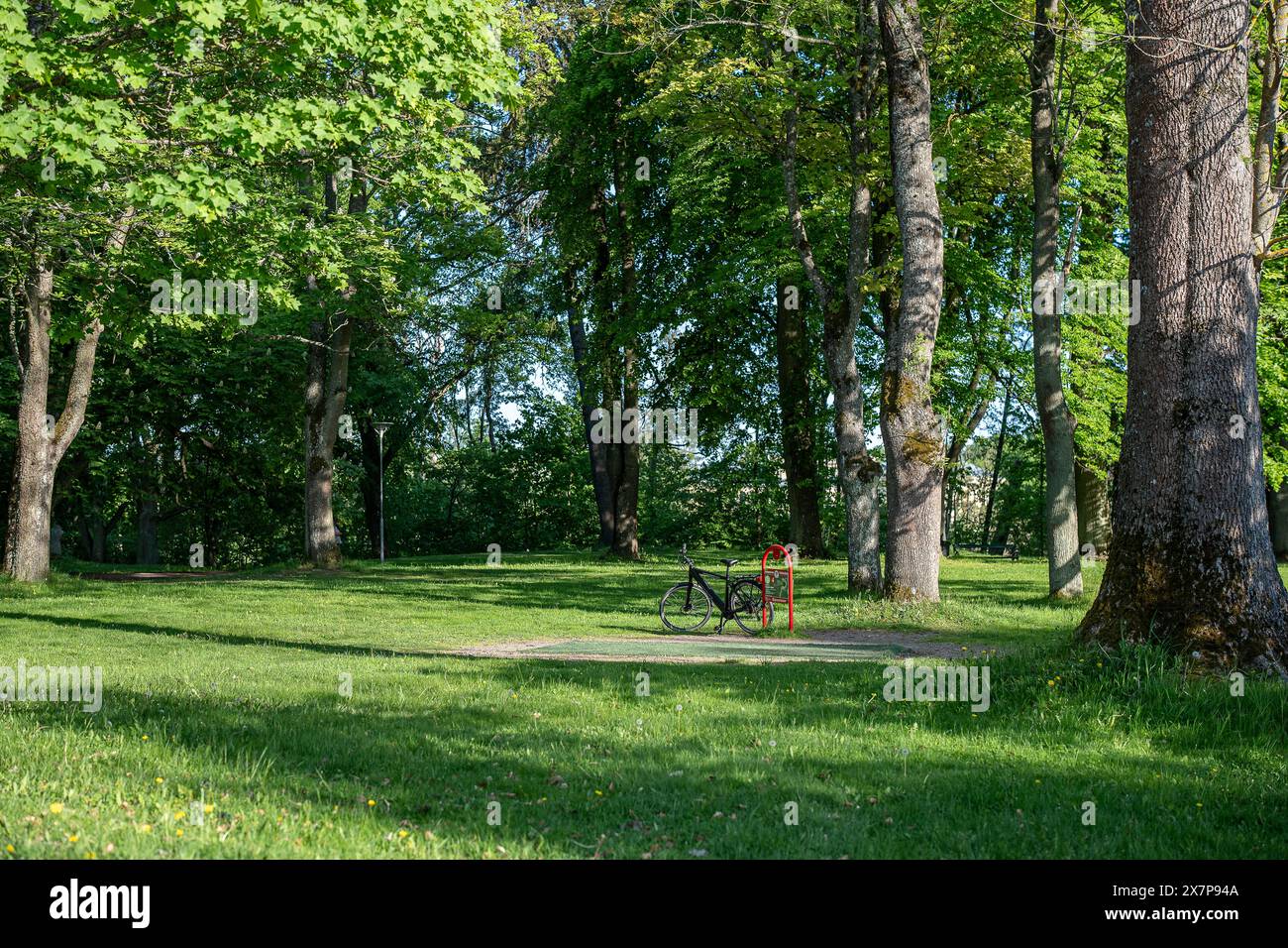 Tranquil spring evening i the latter part of May 2024 in city park Folkparken in Norrköping, Sweden Stock Photo