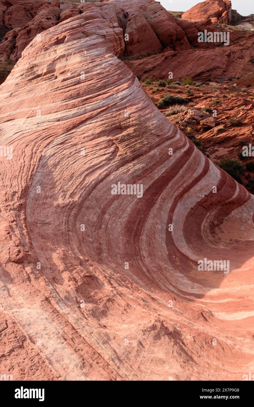The beautiful waves and curves of the Fire Wave, a red sandstone rock ...
