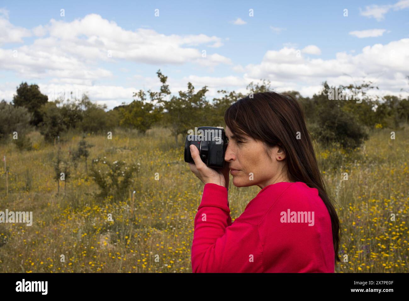 mild adult woman using reflex camera to take photo. hobbies. photograph Stock Photo