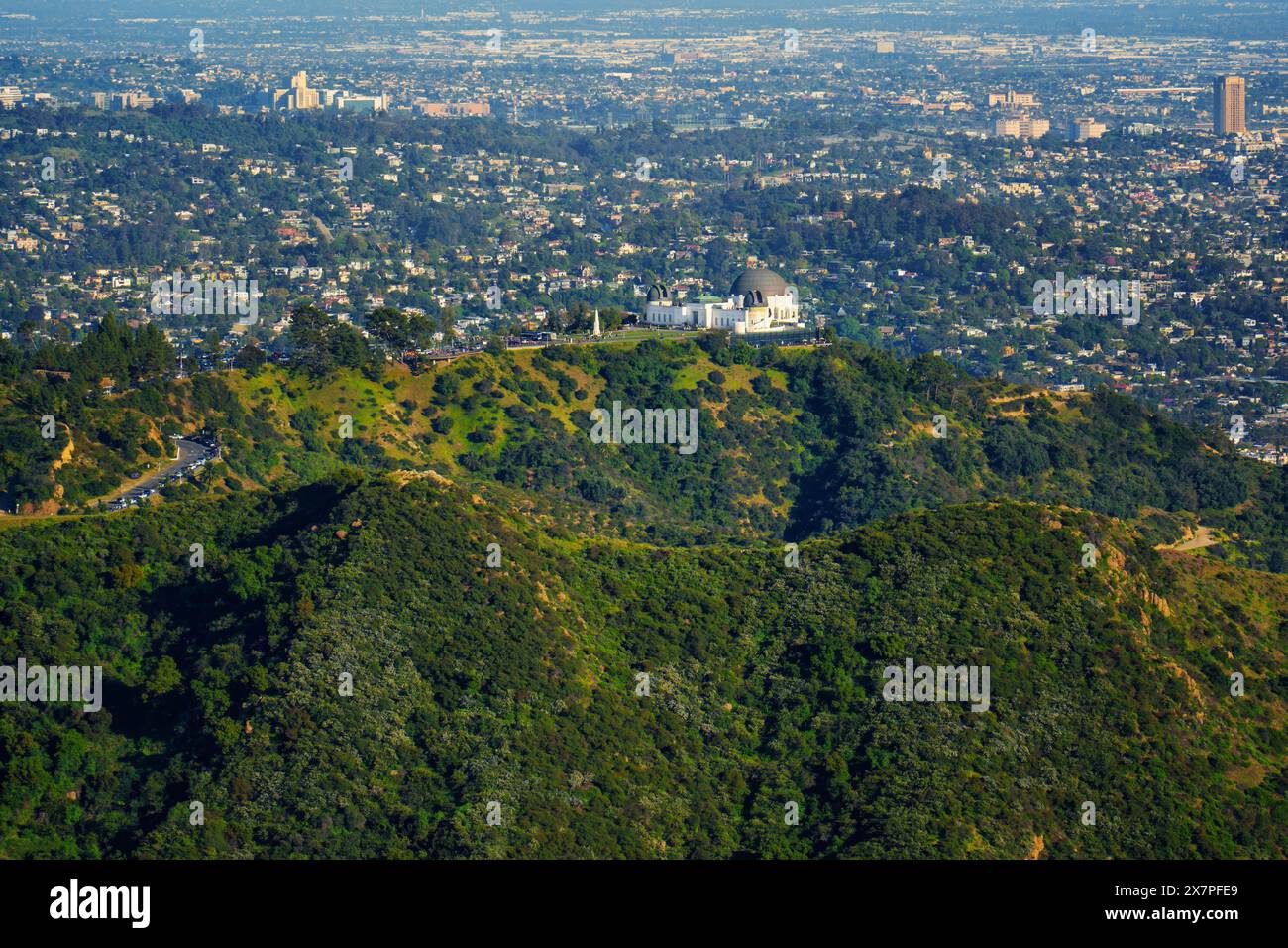 Griffith Observatory seen from a bird's-eye perspective, nestled amidst lush green hills with the city skyline in the distance. Stock Photo
