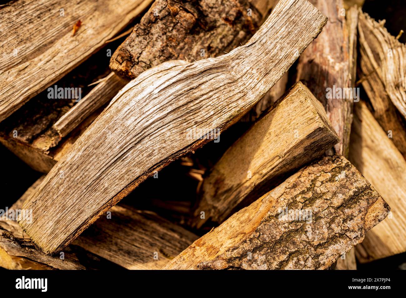 Axed tree hi-res stock photography and images - Alamy