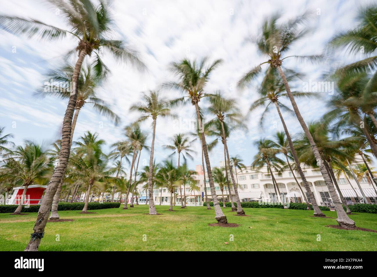 Ocean drive lummus park hi-res stock photography and images - Alamy