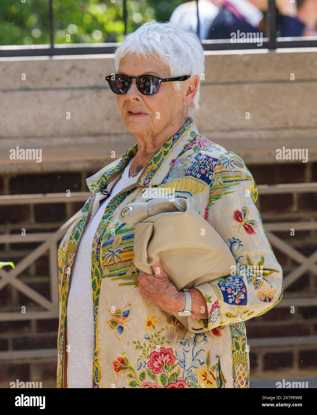 Actress Dame Judi Dench at the RHS Chelsea Flower Show Stock Photo