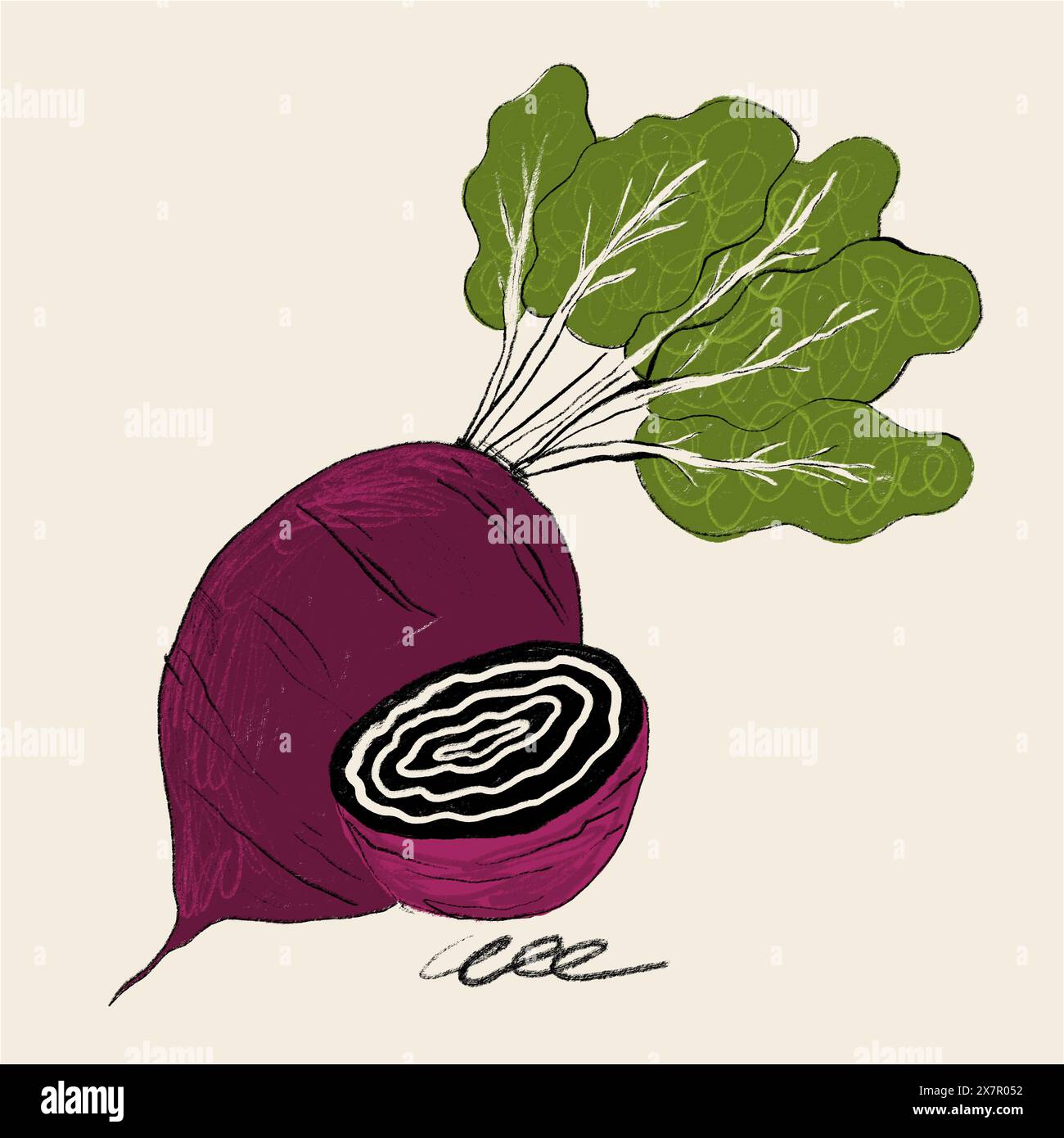 Detailed cross section illustration hi-res stock photography and images ...