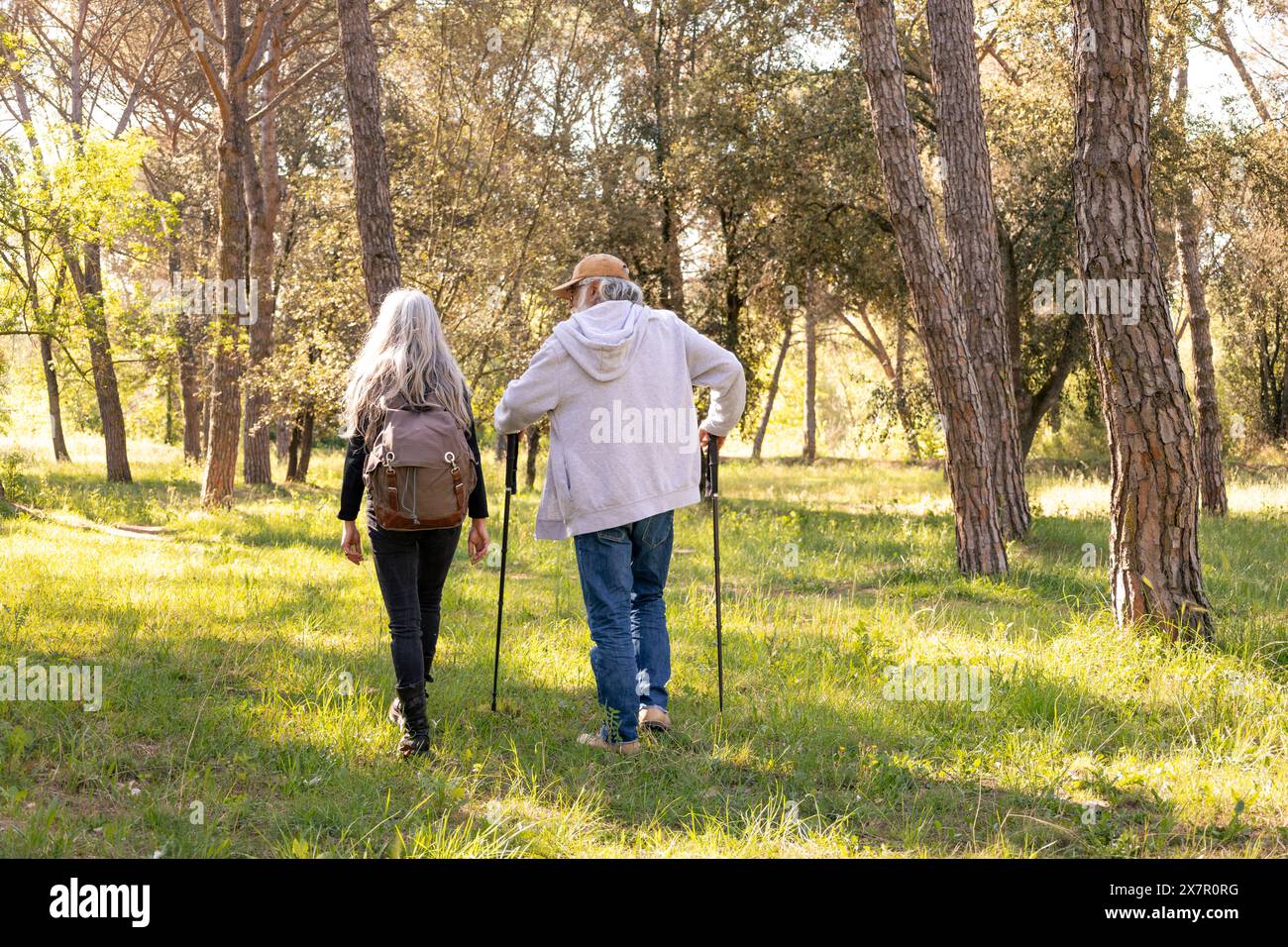 An elderly couple walks hand-in-hand through a sunlit forest ...