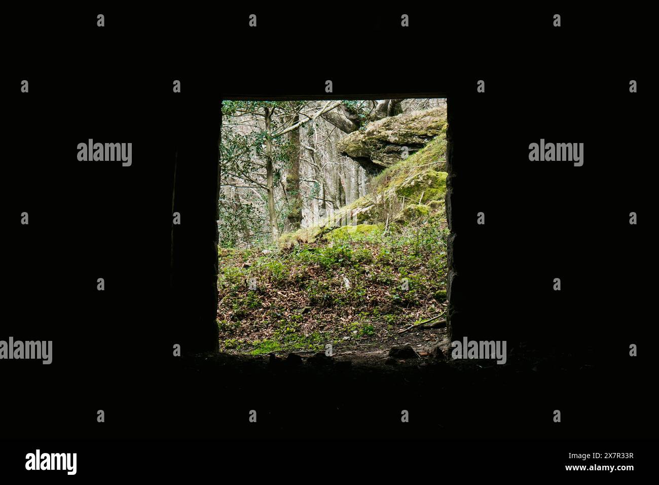 View of lush forest and moss-covered rocks seen from a dark cave opening. Stock Photo