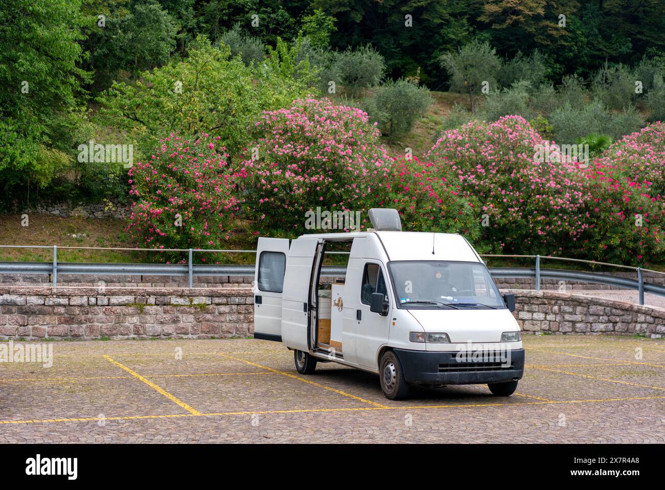 A white van with open doors parked on a cobblestone parking area with blooming pink flowers and green foliage in the background, indicative of a leisu Stock Photo