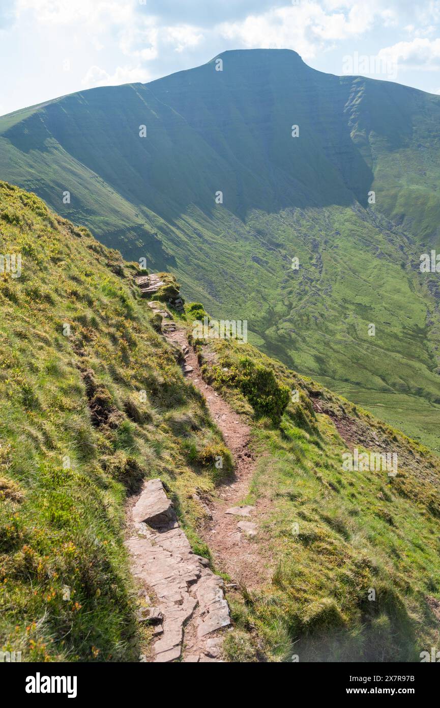 View of north-east Pen y Fan from the Cribyn Stock Photo - Alamy