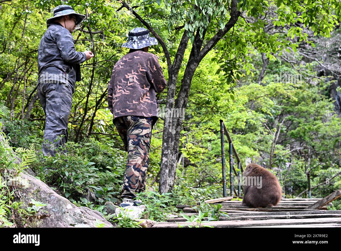 (240521) -- HUANGSHAN, May 21, 2024 (Xinhua) -- Zhang Tong (R) and Gao ...