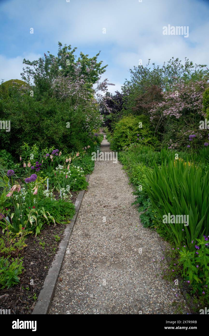 A peaceful garden pathway lined with lush flowering plants and greenery ...
