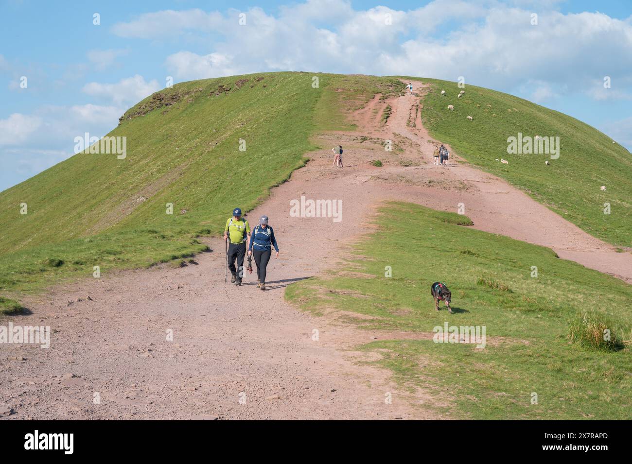 Paths leading up to the summit of Pen y Fan, Brecon Beacons Stock Photo