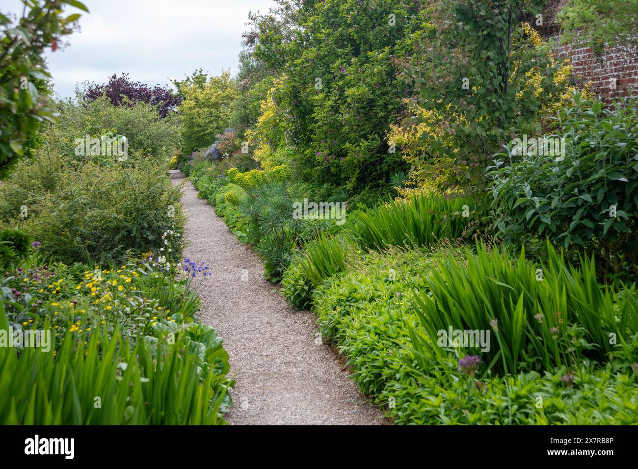 Garden design herbaceous border hi-res stock photography and images - Alamy