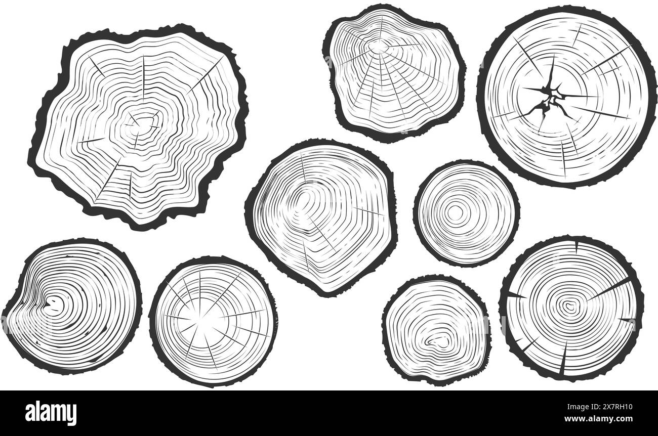 Tree trunk cuts with cracks, wood saw cuts set, timber texture, segment of tree growth rings, vector Stock Vector