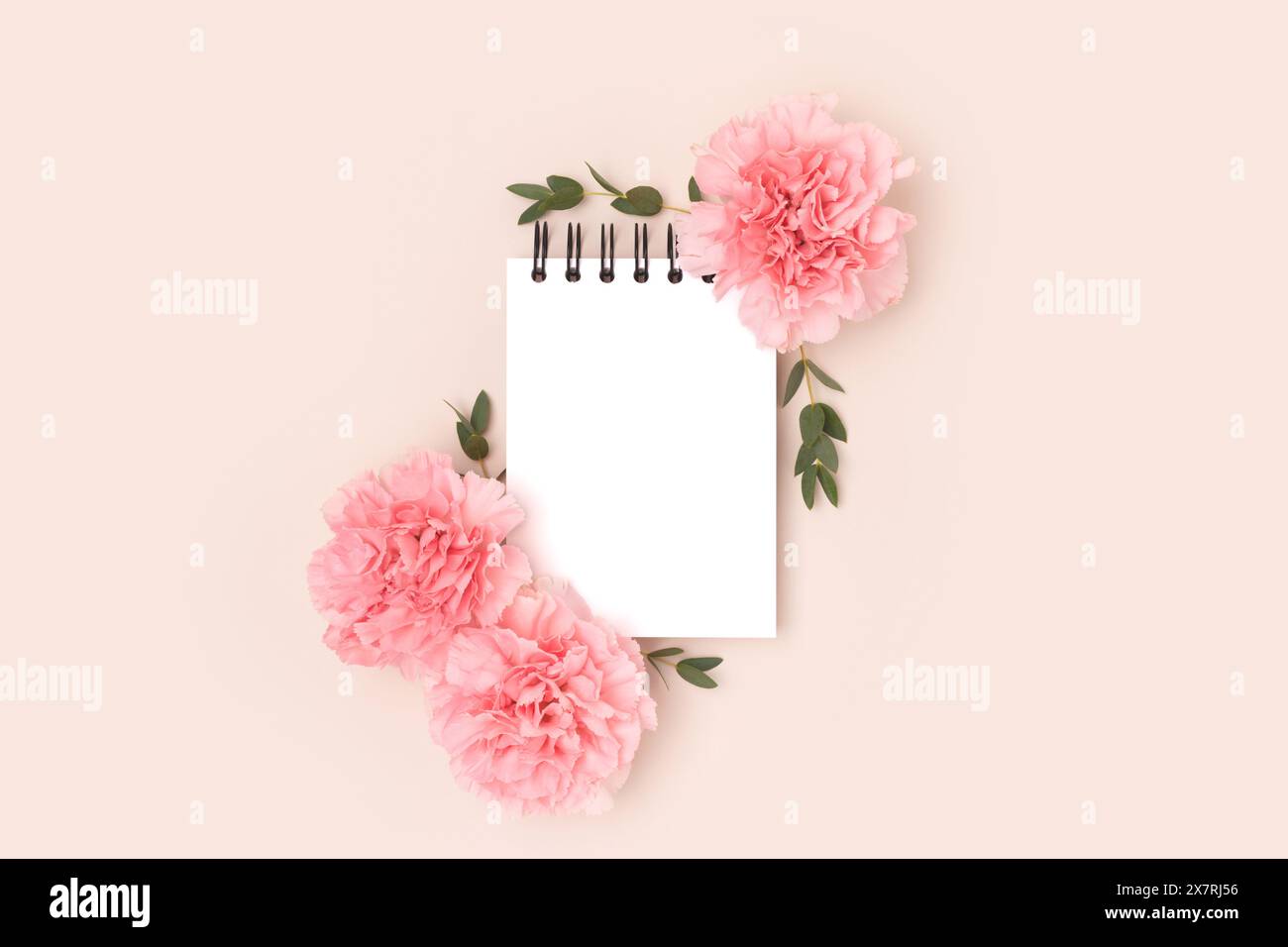 Empty notepad mockup, pink carnation flowers and green eucalyptus branches on a beige background. Greeting card concept. Stock Photo