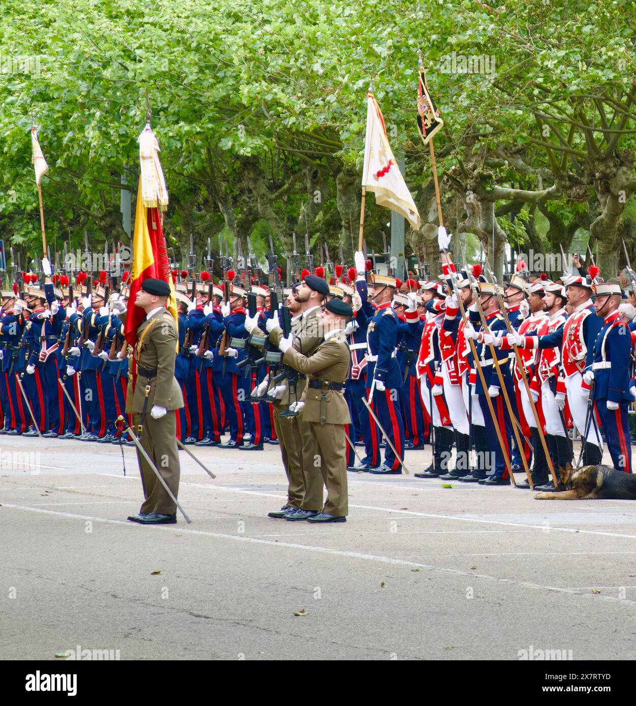 Spanish soldiers parade the Spanish flag for members of the public to ...
