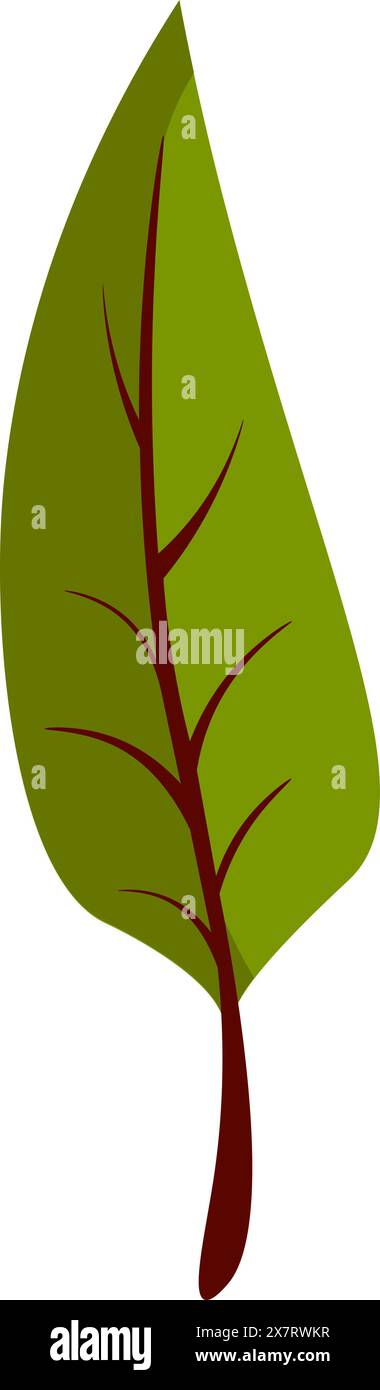 Green leaf on white background Stock Vector Image & Art - Alamy