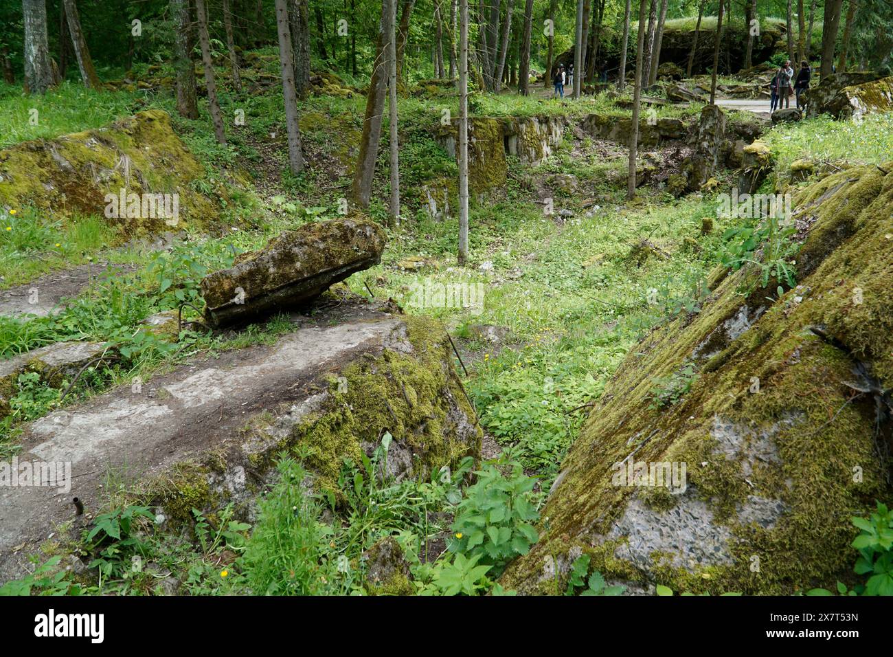 Ketrzyn, Gierloz, Poland - May 11th 2024 - Ruins of a bunker in Wolf's Liar Stock Photo