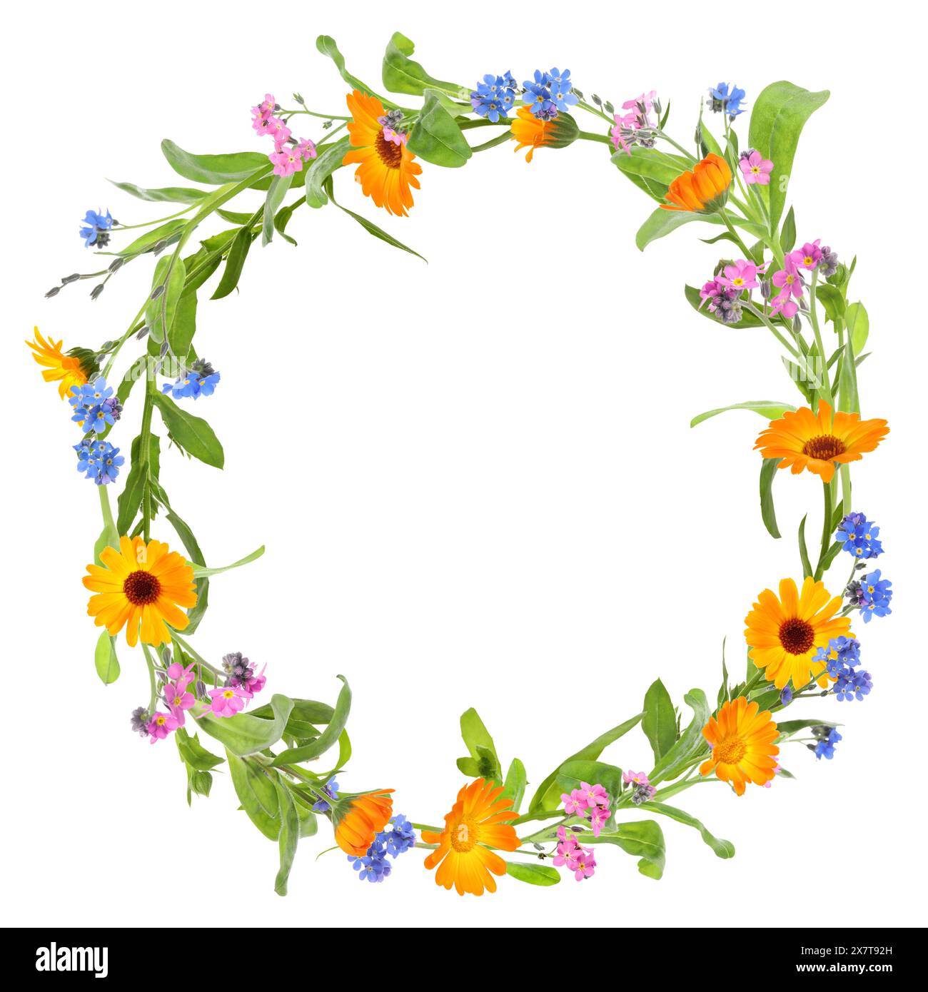 Wreath of beautiful wild flowers isolated on white Stock Photo - Alamy