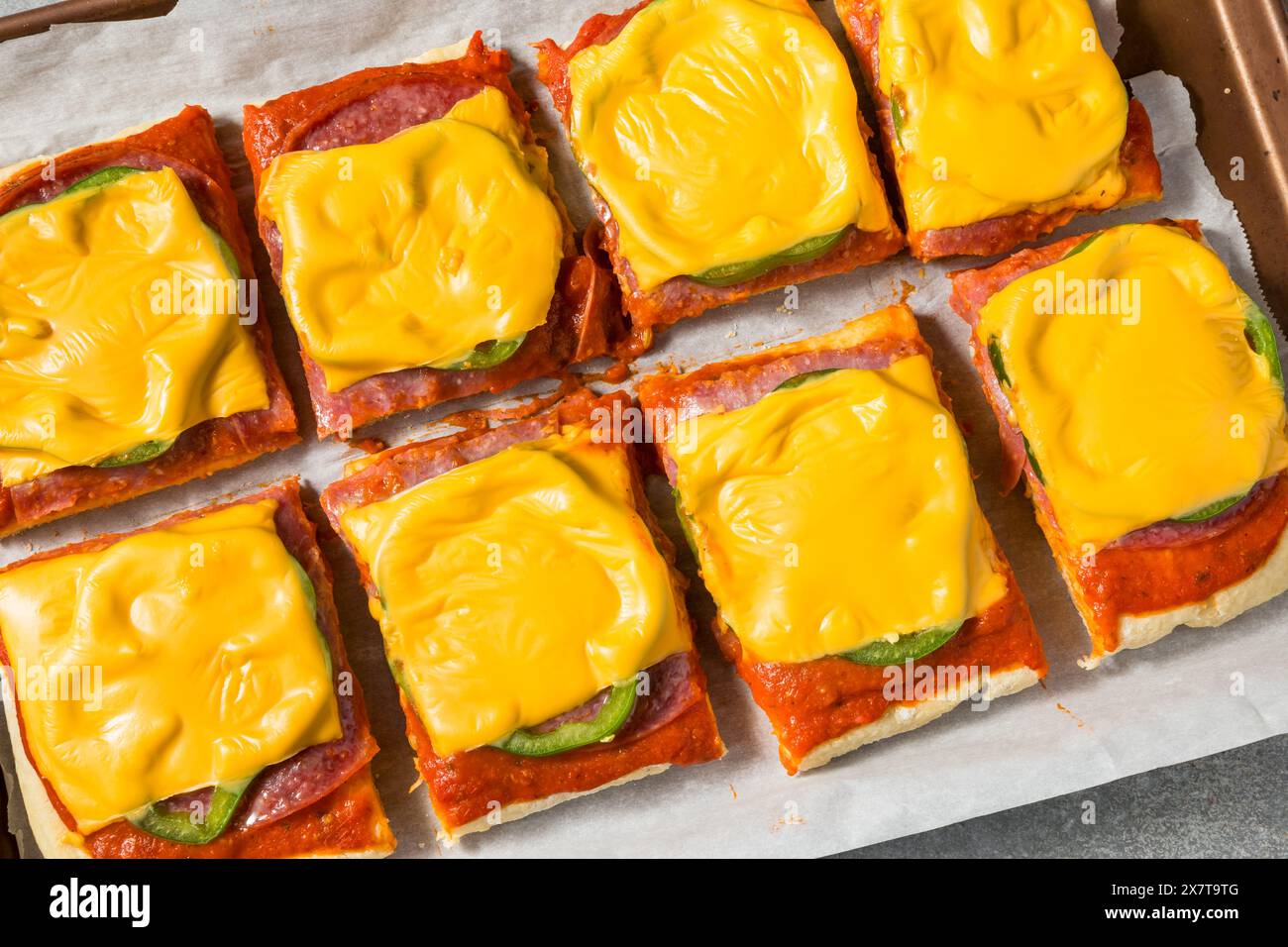 Italian Homemade Altoona Style Pizza Slices with Salami and American