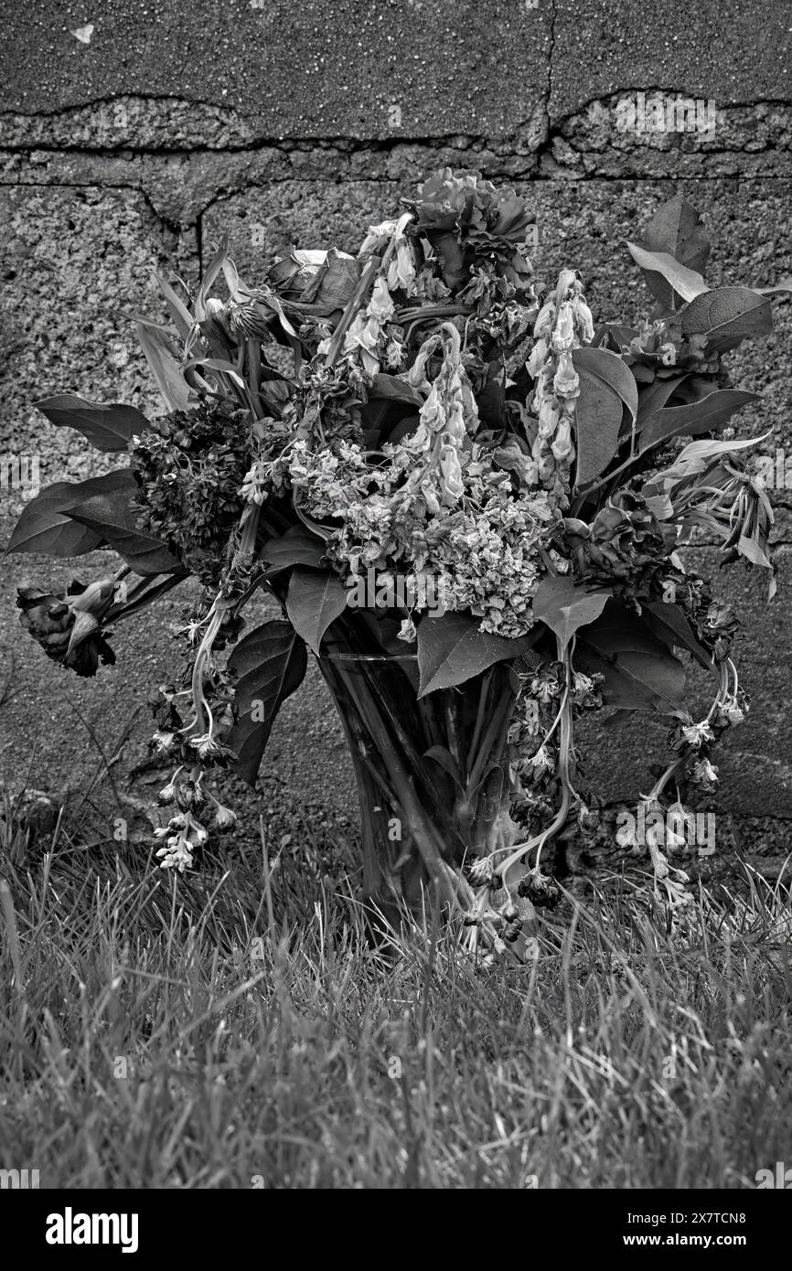 A black and white photo of a Bouquet of dead flowers in front of a cinder block wall. Stock Photo