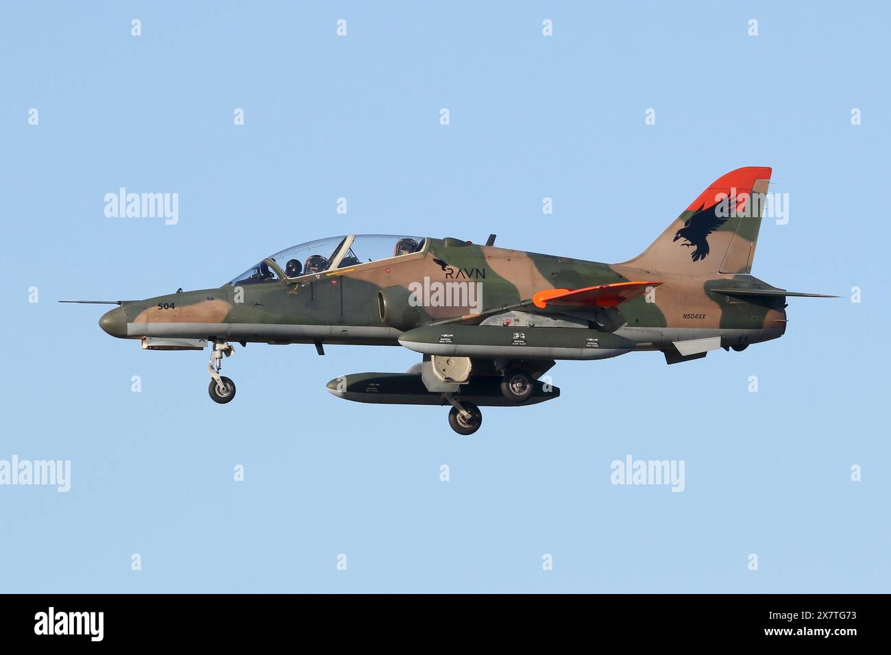 Hawk R&b 67 Ravn hi-res stock photography and images - Alamy