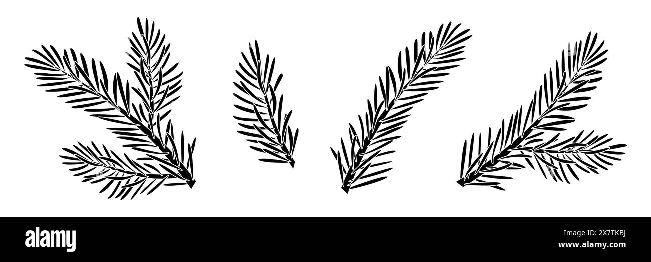 Christmas Larch silhouette set. Pine, spruce branch, evergreen tree, fir, vector icon, winter plants, New Year holiday decoration. Hand drawn vector illustration. Stock Vector