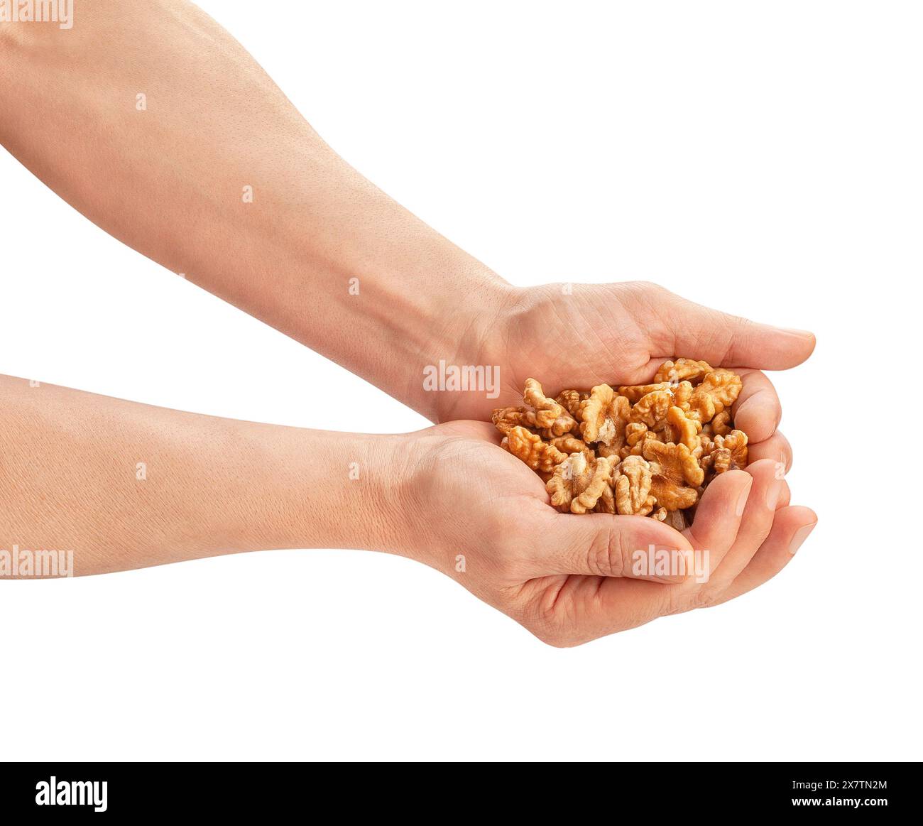 walnuts heap in hand path isolated on white Stock Photo