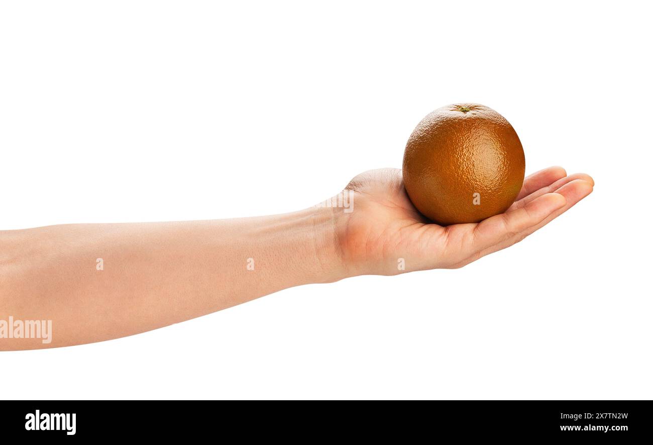 chocolate orange in hand path isolated on white Stock Photo